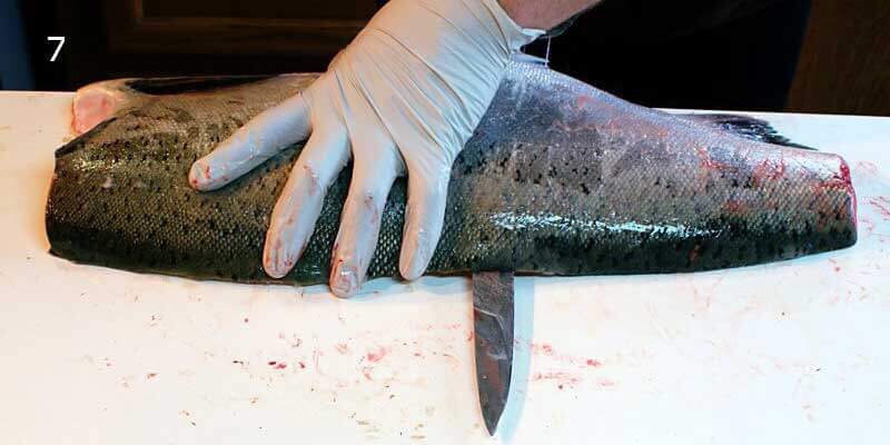 Knifestock BLOG - Hur man filéar lax korrekt