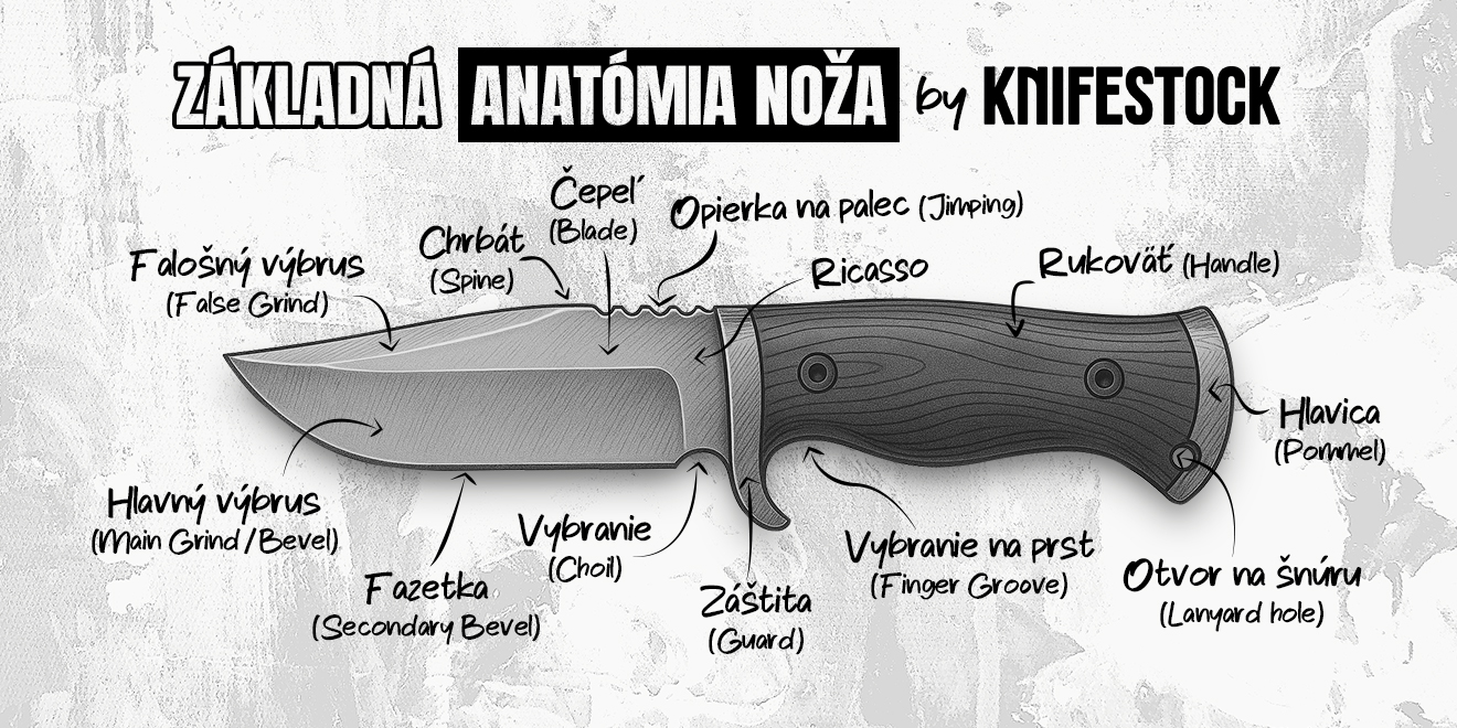 kniv-anatomi